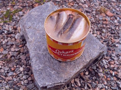 worlds smelliest fish in a can|Surströmming: The Swedish Stinky Fish Delicacy